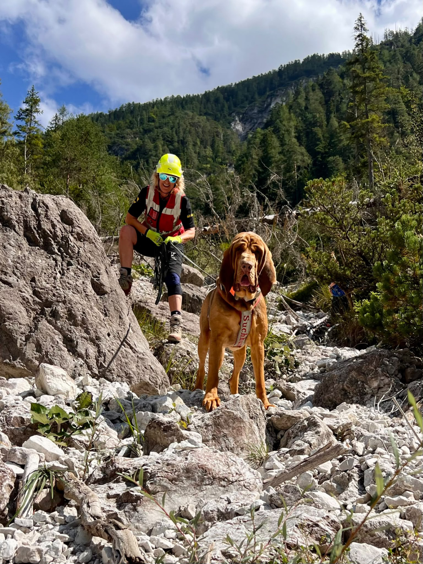 Die Ausbildung. Du lernst, Menschen und Hunde zu führen.